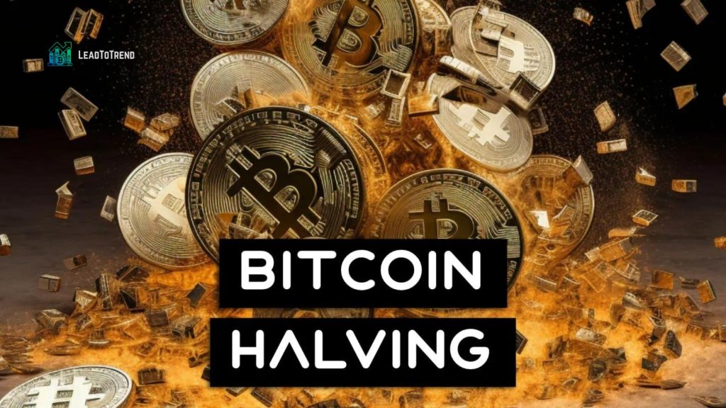 Bitcoin Halving Cycle Effects